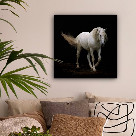 Cheval Wit devant une toile fond noir 2cm 50x50 cm - impression photo sur toile peinture Décoration murale salon / chambre à coucher) / Animaux sauvages Peintures Toile