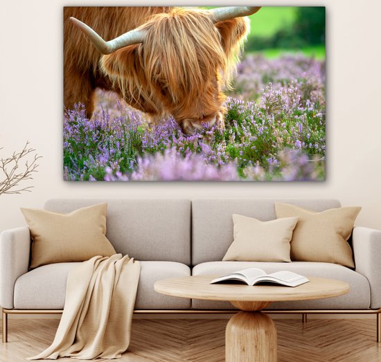 Close-up highlander écossais sent la toile de bruyère violette 2cm