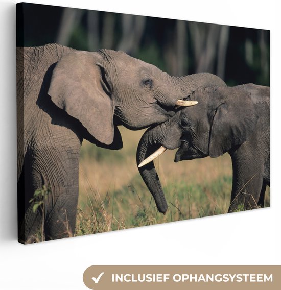 Toile d'éléphants gambadeurs 2cm 30x20 cm - petit - Tirage photo sur toile (Décoration murale salon / chambre) / animaux sauvages Peintures sur toile