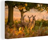 Cerf en forêt d'automne sur toile 2cm 120x80 cm - Tirage photo sur toile (Décoration murale salon / chambre)