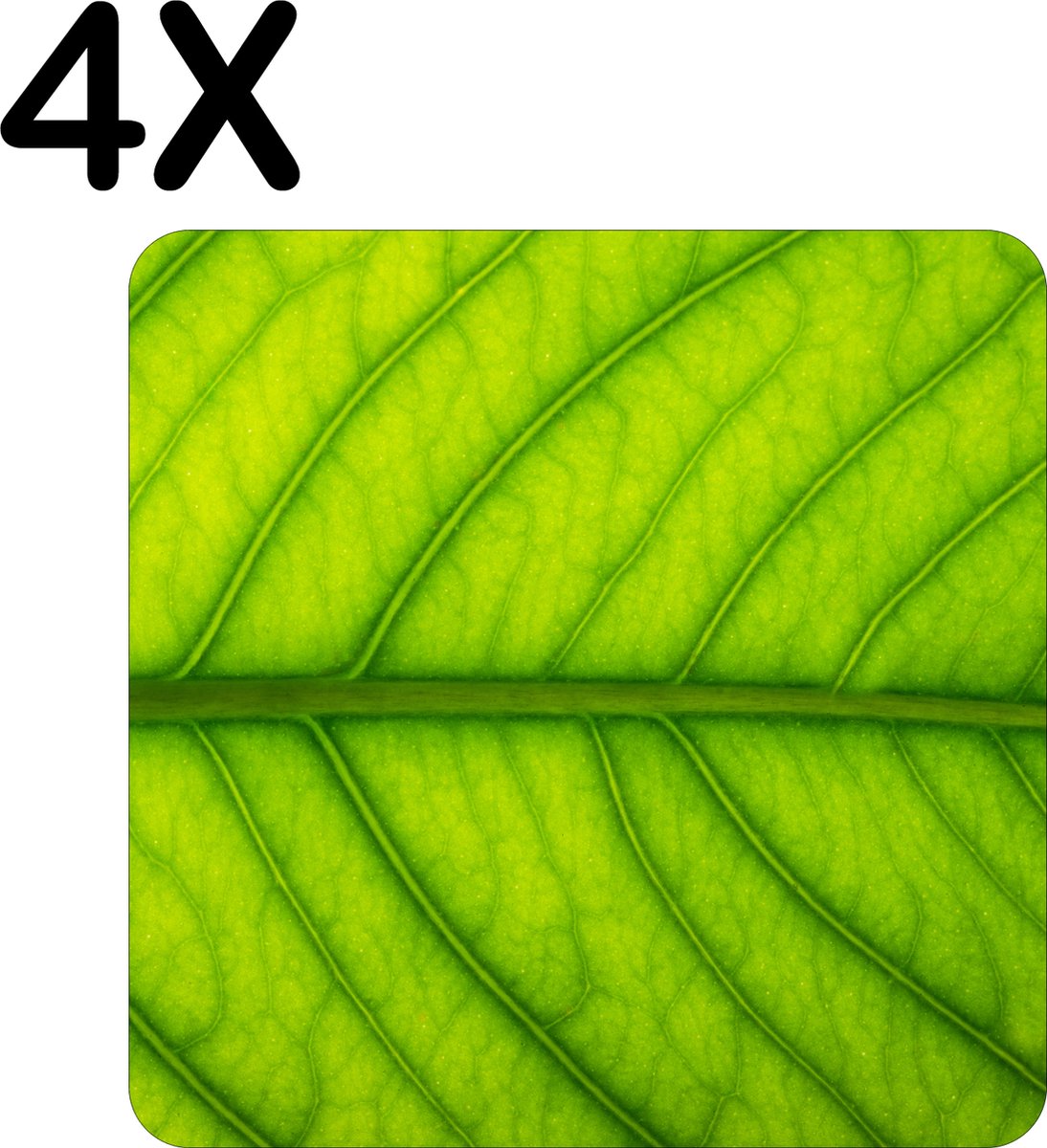 BWK Stevige Placemat - Close Up Groen Blad - Set van 4 Placemats - 50x50 cm - 1 mm dik Polystyreen - Afneembaar