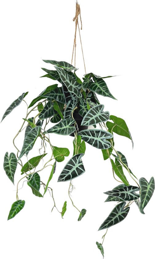 Caladium Kunst Hangplant 95cm | Hangende Kunstplant | Kunstplant voor Binnen | Neppe Hangplant