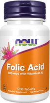 Folic Acid (Foliumzuur) - 250 tabletten