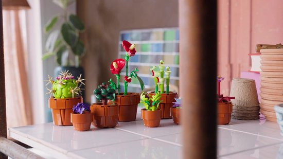 Variété De Fleurs Miniatures En Pot En Plastique, Y Compris Des