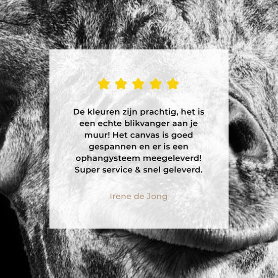 Peinture sur toile Girafe - Animal - Zwart - Wit - 20x40 cm - Décoration murale