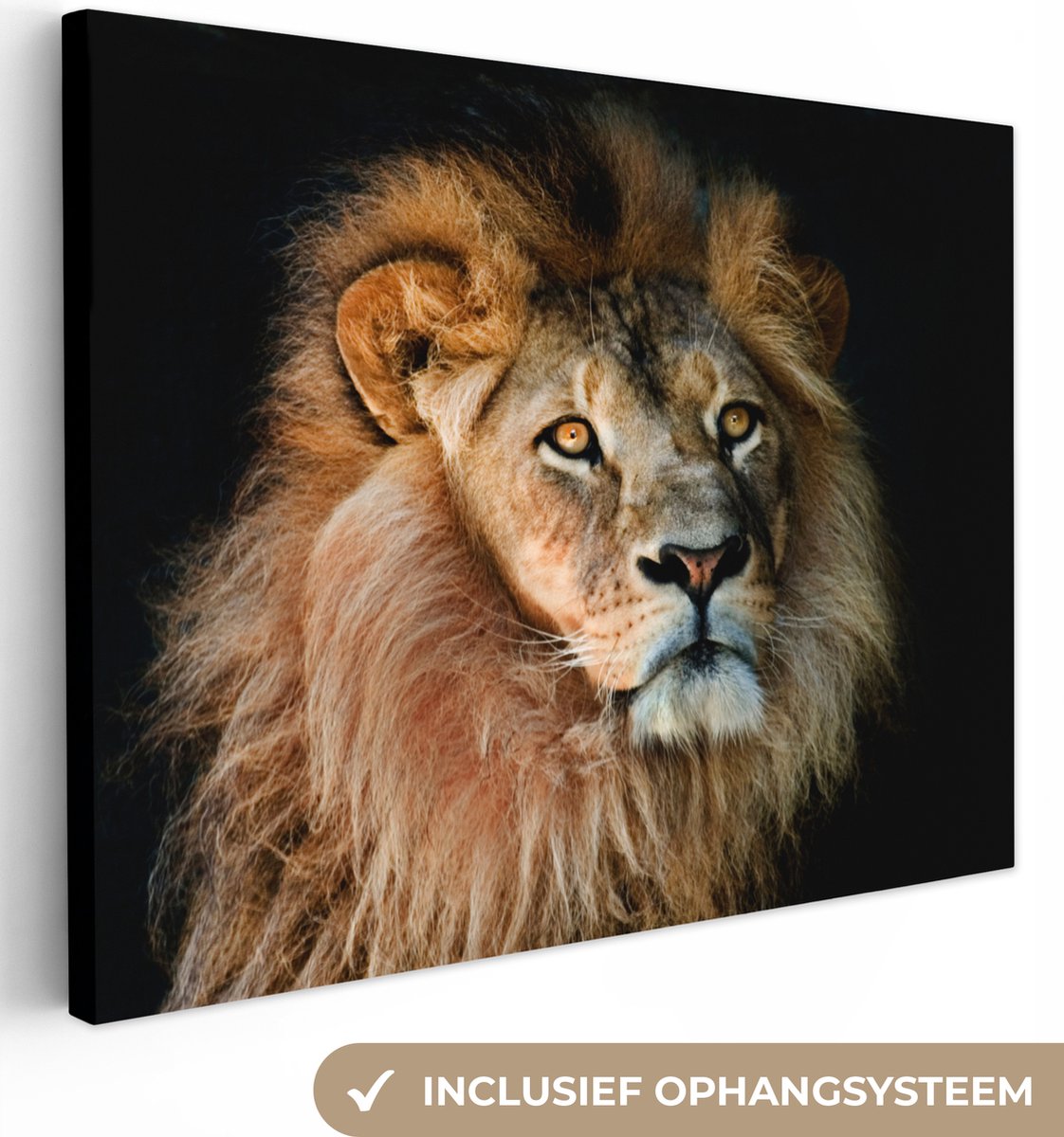 Tableau Toile Lion - Portrait - Zwart - 90x90 cm - Décoration murale