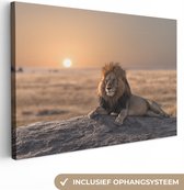 Peintures sur toile - Lion - Soleil - Afrique - 120x80 cm - Décoration murale