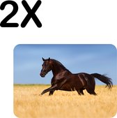 BWK Flexibele Placemat - Gallopperend Paard in het Gras - Set van 2 Placemats - 40x30 cm - PVC Doek - Afneembaar