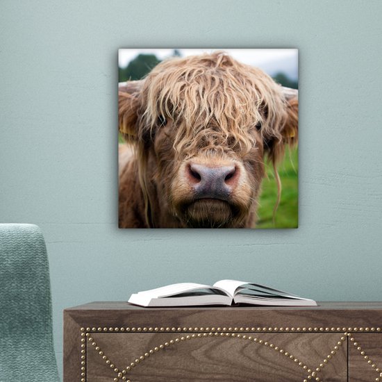 Peinture sur toile Highlander écossais - Herbe - Forêt - 20x20 cm - Décoration murale