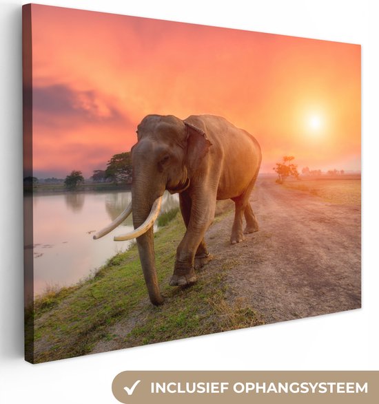Peinture sur toile Éléphant - Water - Animaux - Coucher de soleil - Nature - 120x90 cm - Décoration murale