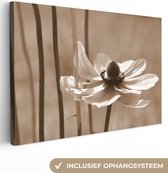 Canvas Schilderij Bloem van anemoon sepia fotoprint - 30x20 cm - Wanddecoratie