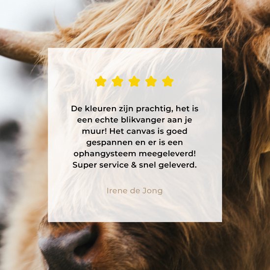 Tableau sur toile Scottish Highlander - Animaux - Cornes - 40x30 cm - Décoration murale