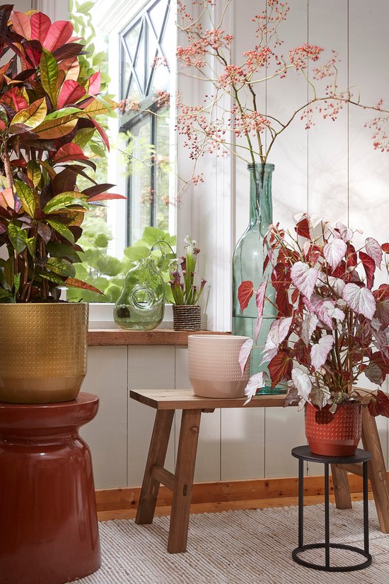 Houten bankje met planten in potten, bij een venster.