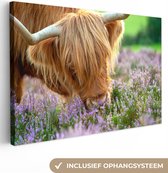 Peinture sur toile Highlander écossais - Herbe - Bruyère - Animaux - 150x100 cm - Décoration murale