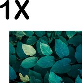 BWK Textiele Placemat - Groene Bladeren aan een Plant - Set van 1 Placemats - 40x30 cm - Polyester Stof - Afneembaar