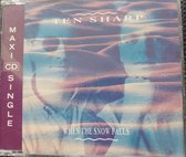 Ten Sharp ‎– When The Snow Falls / Some Sails / All In Love Is Fair / Closing Hour 4 Track Cd Maxi 1991