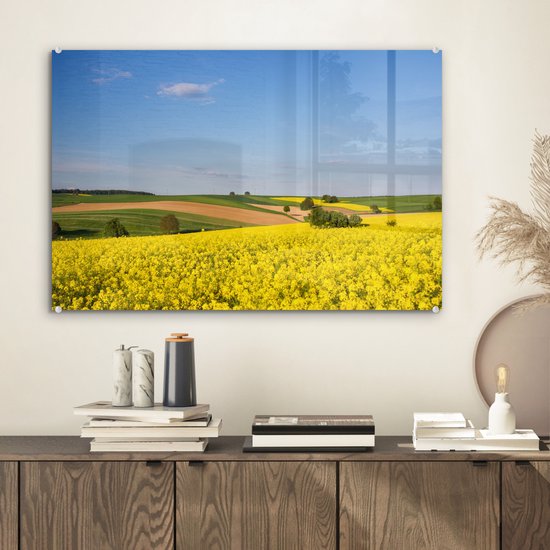 MuchoWow® Peinture sur verre 60x40 cm - Peinture sur verre acrylique - Printemps - Fleurs - Jaune - Photo sur verre - Peintures