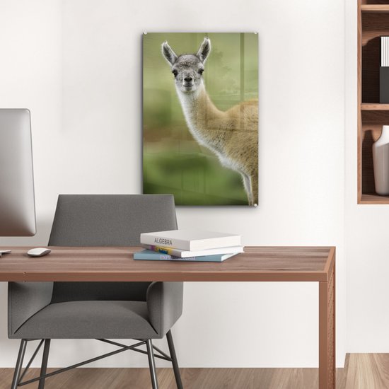 MuchoWow® Peinture sur verre 40x60 cm - Peinture sur verre acrylique - Lama - Animaux - Portrait - Photo sur verre - Peintures