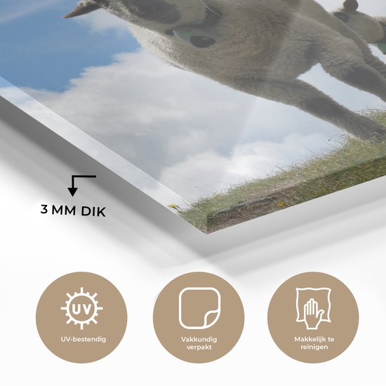 MuchoWow® Glasschilderij 40x30 cm - Schilderij acrylglas - Schapen - Berg - Alpen - Foto op glas - Schilderijen