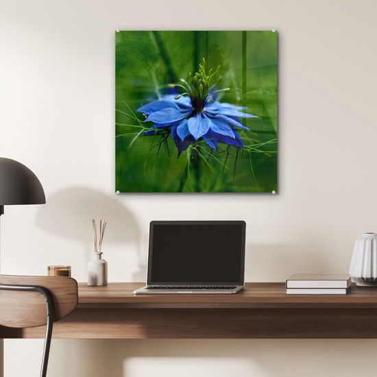 Peinture sur verre MuchoWow® 50x50 cm - Peinture acrylique sur verre - Une fleur de nigelle dans un environnement verdoyant - Photo sur verre - Peintures
