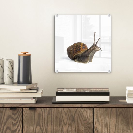 Peinture sur Verre - Escargot de Jardin - 20x20 cm - Peintures sur Verre Peintures - Photo sur Glas
