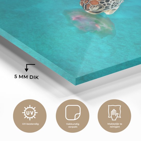 Peinture sur verre - Tortue verte avec méduse - 180x120 cm - Peintures Plexiglas