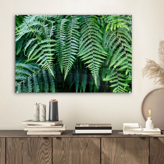 Peinture sur Verre - Fougères Vertes - 60x40 cm - Peintures sur Verre Peintures - Photo sur Glas