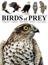 Mini Animals- Birds of Prey