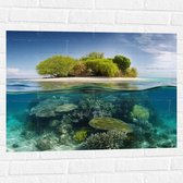 Muursticker - Koraal - Oceaan - Zee - Eiland - 80x60 cm Foto op Muursticker
