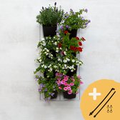 Mon Jardin Vertical - Avec Système d'Eau - Pour l'Extérieur - Pack de Démarrage Complet (Petit) 30cm x 60cm - 8 Bacs - Jardinière au mur - Mur végétal - Mur végétal - Potager vertical - Bac de balcon - Mur végétal - Mur végétal