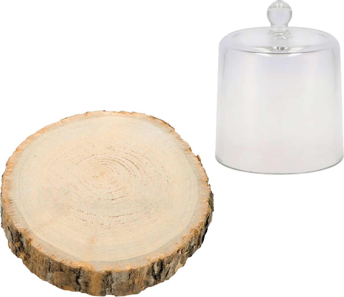 Decoratie stolp met boomschijf - glas/hout - D17 x H16 cm - deco cloche - hobby/woonaccessoire