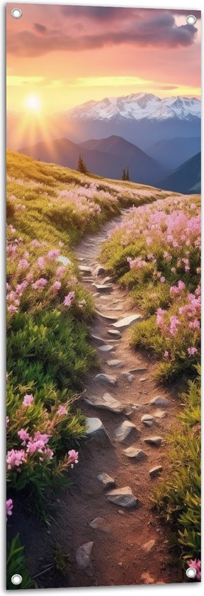 Tuinposter – Zon - Bergen - Bloemen - Pad - Kleuren - 40x120 cm Foto op Tuinposter (wanddecoratie voor buiten en binnen)