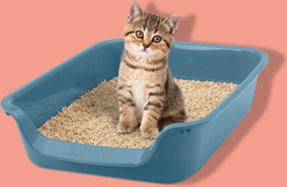 Savic Junior Kattenbak Blauw thumbnail 4
