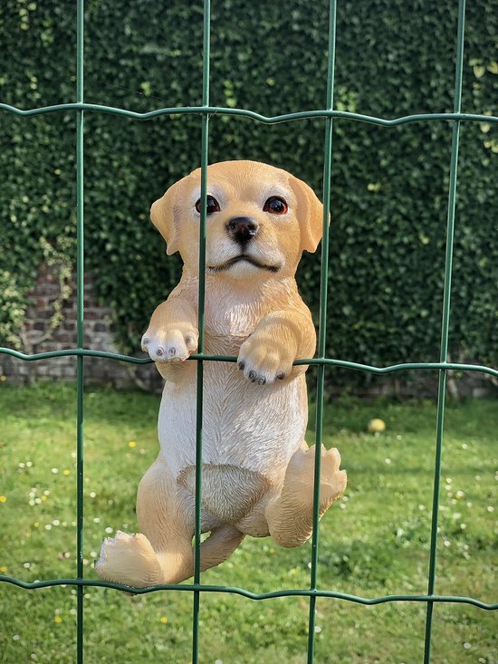 Een hond met een wit gezicht en roze oren staat op een wit oppervlak. | AI-gegenereerd afbeelding