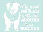 Raam - auto - deur sticker no need for alarm - dog - hond -