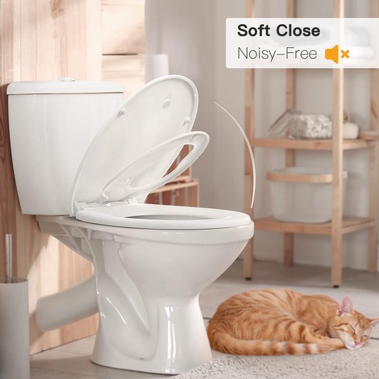 Toiletbril