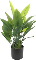 Plante Artificielle Strelitzia 70cm | Oiseau de paradis plante artificielle pour l'intérieur | Petit art Strelitzia