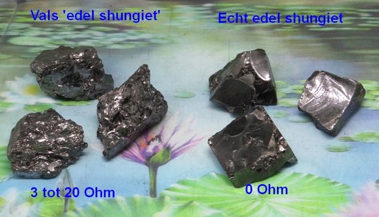 Zes ruwe, donkere, glanzende stenen op een achtergrond met waterlelies. Twee groepen stenen zijn gelabeld 'Vals 'edel shungiet'' en 'Echt edel shungiet'.