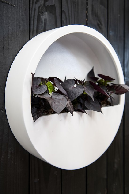 Pottery Pots Plantenpot Wally (hanging) S Fiberstone Glossy White | Ø ...