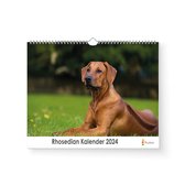 XL 2024 Kalender - Jaarkalender - Rhosedian
