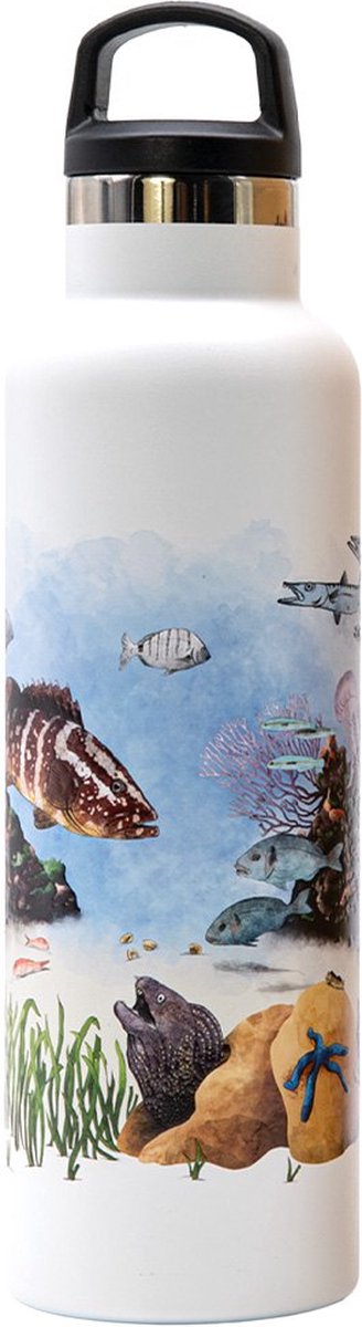 Fish Tank Grouper 600ml Fles