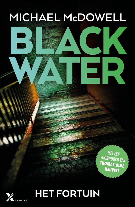 Blackwater 5 - Het fortuin - cover