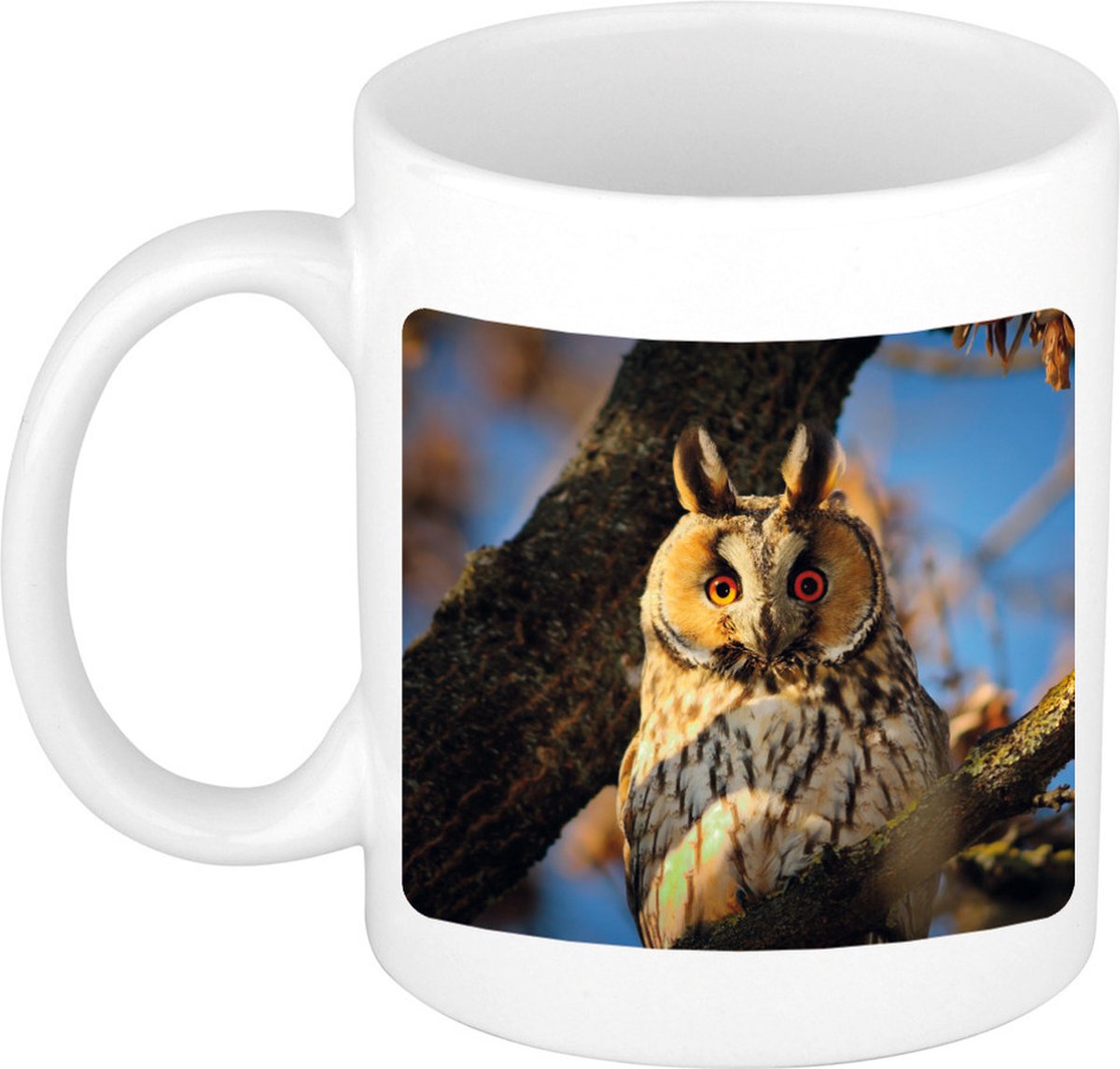 Dieren ransuil foto mok 300 ml - cadeau beker / mok uilen liefhebber