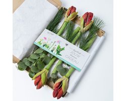 BloomGift | Kerstcadeaus | Amaryllis Brievenbus Boeketje | Hét kerstcadeau door de Brievenbus