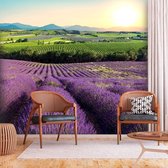 Fotobehangkoning - Behang - Vliesbehang - Fotobehang - Lavender Field - Lavendel - Bloemen - Landschap - Lavendelveld - 250 x 175 cm