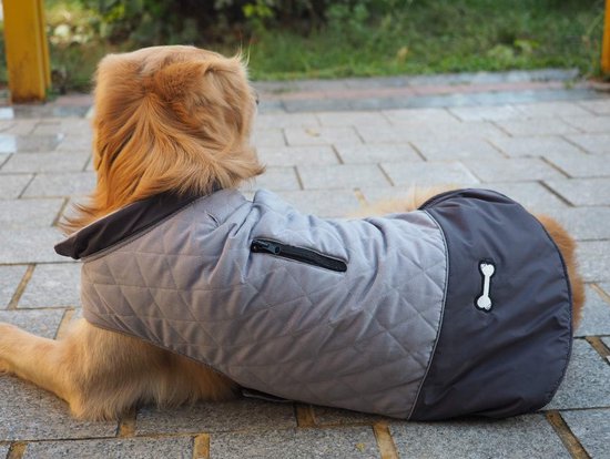 Trixie Beschermkous | Hond | Beschermen
