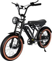 RCB Elektrische Fatbike | Electric Off-Road Bike | E-bike | 250W Motor | 20 Inch | Zwart
