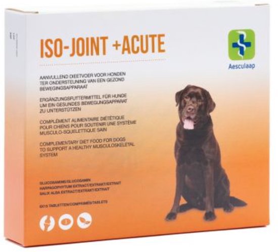 Iso-Joint Acute 6 x 15 tabletten