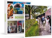 Bongo Bon - WANDELING EN MEET & FEED OP ALPACABOERDERIJ IN ZEELAND VOOR 2 - Cadeaukaart cadeau voor man of vrouw