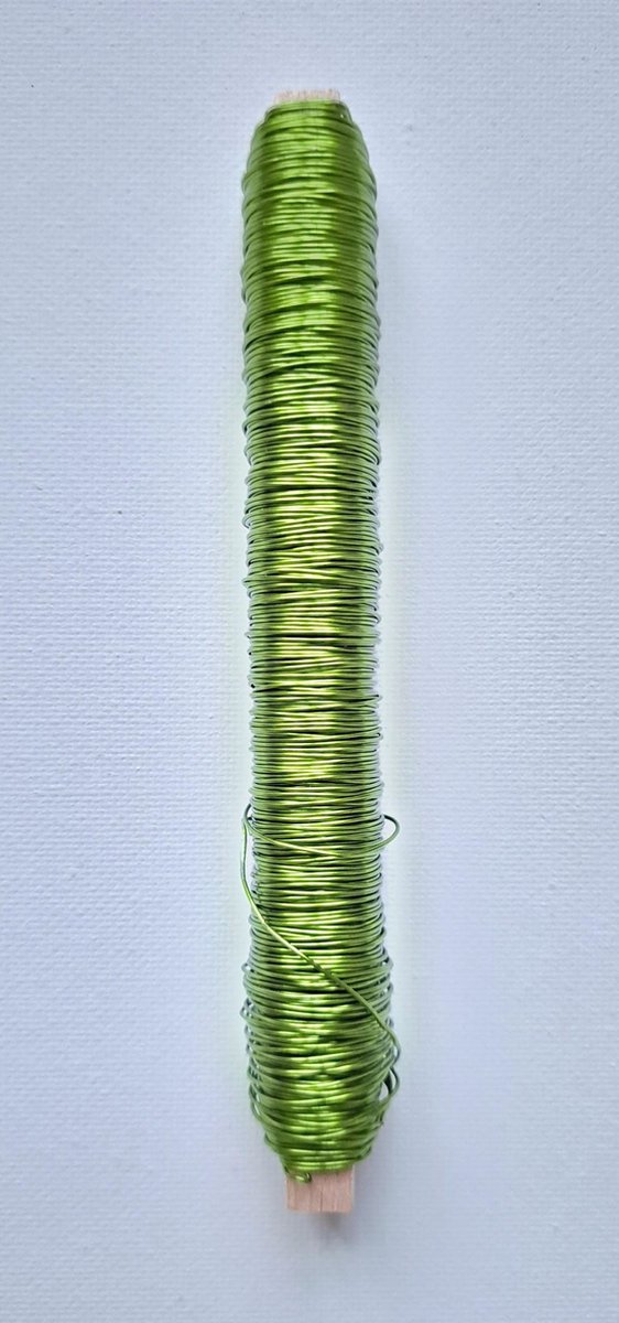 Wikkeldraad – Appel Groen - 1 Stuks – 0.50 mm x 50 m - 100 g - WIK-005